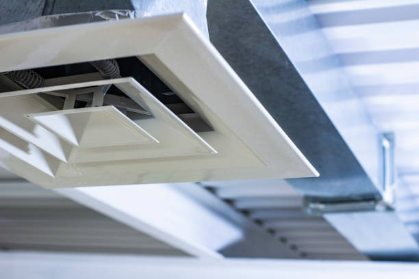 Best Air Duct Sanitizing Services  in Greenwood, IN