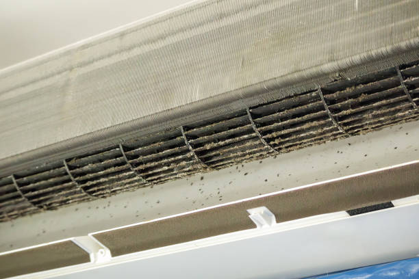 Trusted Greenwood, IN Airduct Cleaning Experts